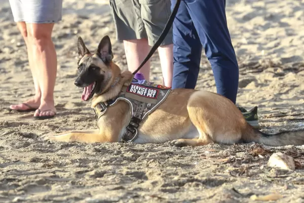 2024-bootcamp-on-the-beach-75